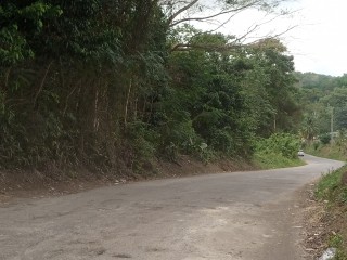 Land For Sale in Grange Hill, Westmoreland, Jamaica