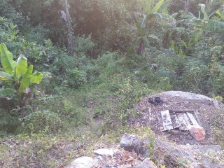 Residential lot For Sale in PORT MORANT, St. Thomas Jamaica | [1]