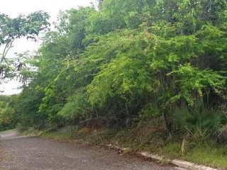 Residential lot For Sale in White House, Westmoreland, Jamaica