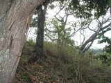 Residential lot For Sale in Maryland, Kingston / St. Andrew Jamaica | [4]