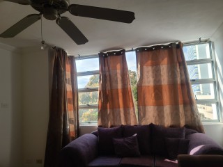 Apartment For Rent in Oxford Road, Kingston / St. Andrew Jamaica | [13]