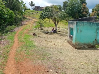 Residential lot For Sale in Coleyville, Manchester Jamaica | [1]