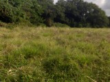 Residential lot For Sale in Port Maria, St. Mary Jamaica | [2]