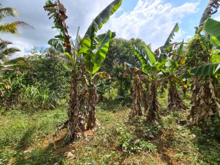 Commercial/farm land For Sale in Bog Walk, St. Catherine, Jamaica