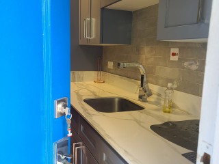 Apartment For Rent in New Kingston, Kingston / St. Andrew Jamaica | [4]