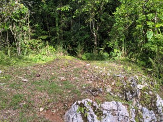Residential lot For Sale in Red Hills, Kingston / St. Andrew Jamaica | [3]