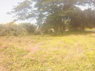 Land For Sale in May Pen, Clarendon Jamaica | [8]