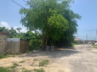 Residential lot For Sale in LUANA PEN BLACK RIVER, St. Elizabeth, Jamaica