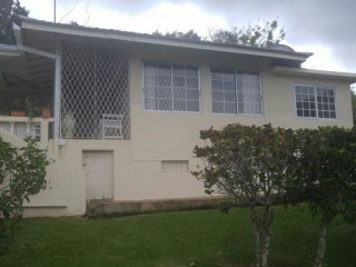 House For Sale in Exchange on Border of St Ann and St Mary, St. Ann Jamaica | [4]