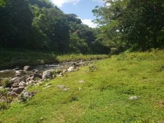 Land For Sale in Frankfield, Clarendon, Jamaica