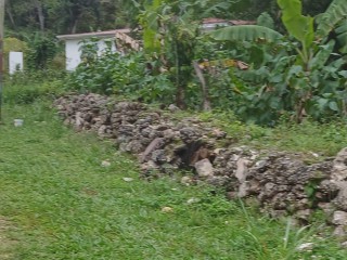 Development Land (Residential) For Sale in Mandeville Price  COMING SOON, Manchester Jamaica | [1]