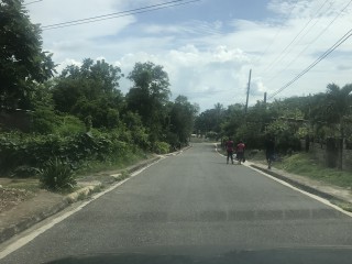 Land For Sale in BUCKNOR, Clarendon Jamaica | [1]