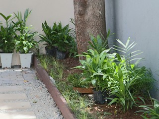 Flat For Rent in mona, Kingston / St. Andrew Jamaica | [4]