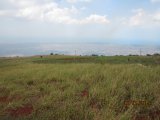Residential lot For Sale in Malvern, St. Elizabeth Jamaica | [5]