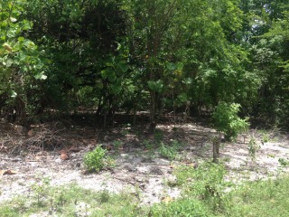 Residential lot For Sale in Negril, Westmoreland Jamaica | [3]