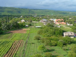 Land For Sale in Decoy Toll Gate, Clarendon, Jamaica