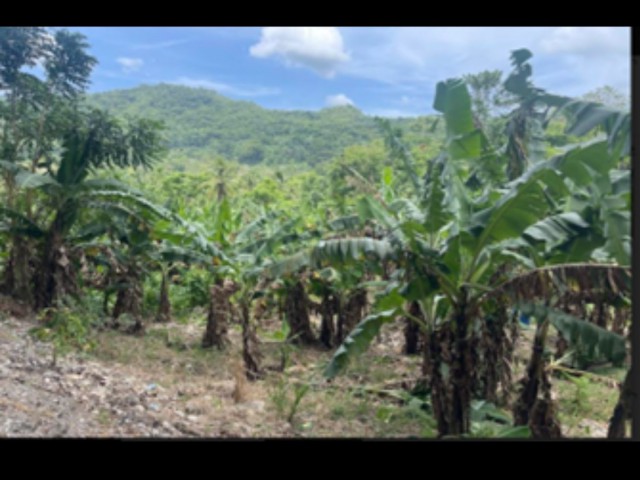 Commercial/farm land For Sale in DRESSIKIE, St. Mary Jamaica | [1]