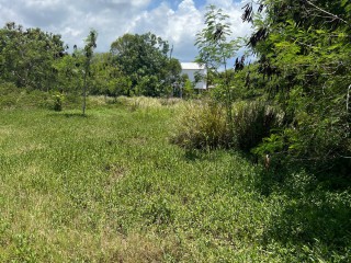Development Land (Commercial) For Sale in ROSEHALL MAIN ROAD, St. James Jamaica | [4]
