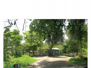Residential lot For Sale in Kildare Buff Bay, Portland, Jamaica