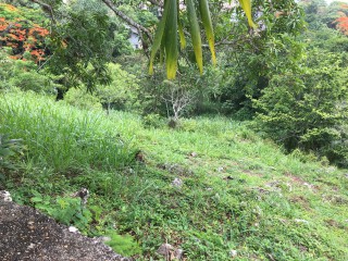 Residential lot For Sale in Old Stony Hill Road, Kingston / St. Andrew Jamaica | [3]
