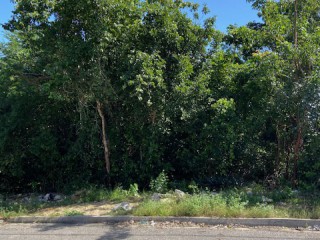 Residential lot For Sale in Duncans, Trelawny Jamaica | [3]