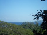 Resort/vacation property For Sale in Round Hill, Hanover Jamaica | [4]