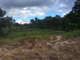 Commercial/farm land For Sale in Shettlewood, Hanover Jamaica | [1]