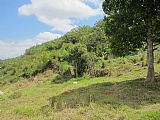 Commercial/farm land For Sale in Hatfield, Manchester Jamaica | [5]