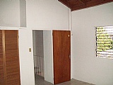 House For Rent in Liguanea, Kingston / St. Andrew Jamaica | [2]