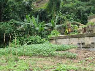 Residential lot For Sale in Cedar Grove, St. Thomas Jamaica | [8]
