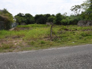 Residential lot For Sale in Black River, St. Elizabeth Jamaica | [4]