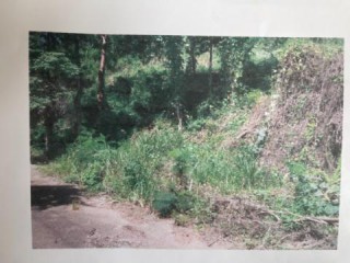 Land For Sale in Bellevue, Kingston / St. Andrew, Jamaica