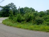 House For Sale in Hopewell Hanover, Hanover Jamaica | [7]