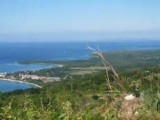 Residential lot For Sale in Tropical Sunshine Properties, Westmoreland Jamaica | [4]