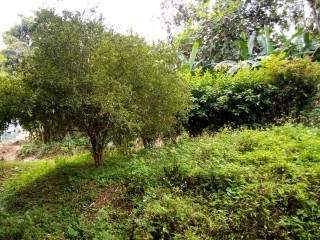 House For Sale in St Anns Bay, St. Ann Jamaica | [3]