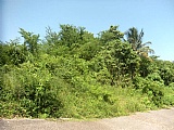 Residential lot For Sale in Santa Cruz, St. Elizabeth Jamaica | [1]