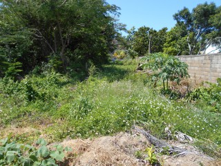 Land For Sale in Cardiff Hall, Runaway Bay, St. Ann Jamaica | [1]