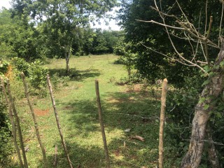 Land For Sale in Negril, Westmoreland, Jamaica