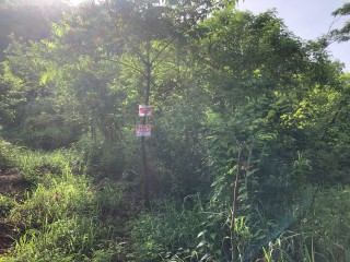 Residential lot For Sale in Bannister Old Harbour, St. Catherine, Jamaica