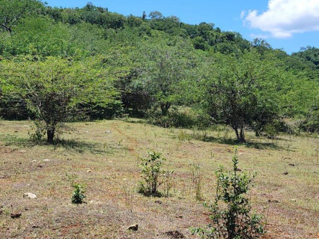 Development Land (Residential) For Sale - OldHope, Westmoreland, Jamaica