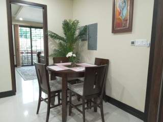 Apartment For Rent in Kingston 6, Kingston / St. Andrew Jamaica | [6]