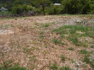 Land For Sale in Wigton, Manchester Jamaica | [9]