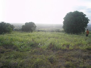 Residential lot For Sale in Round Hill Treasure Beach PO, St. Elizabeth Jamaica | [1]