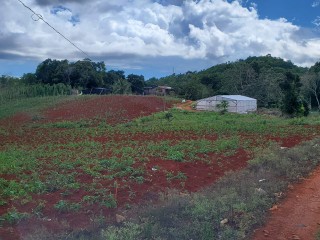 Residential lot For Sale in May Day Plantation, Manchester, Jamaica