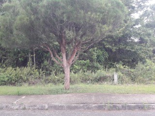 Residential lot For Sale in Moorlands Estate, Manchester Jamaica | [4]
