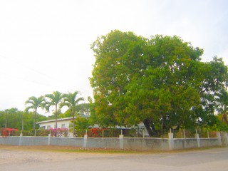 House For Sale in Near Denbigh, Clarendon Jamaica | [14]