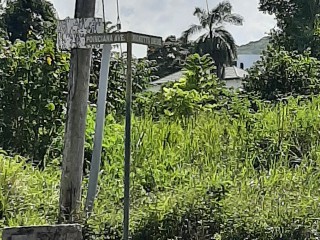 Residential lot For Sale in Cardiff Hall, St. Ann, Jamaica