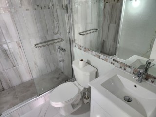 Apartment For Rent in New Kingston, Kingston / St. Andrew Jamaica | [4]