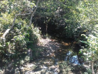Commercial land For Sale in Lottery, St. James Jamaica | [1]