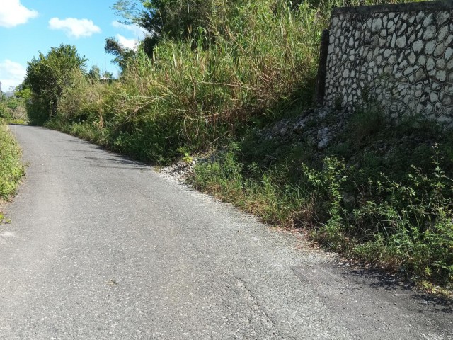 Land For Sale in Mile Gully, Manchester Jamaica | [3]